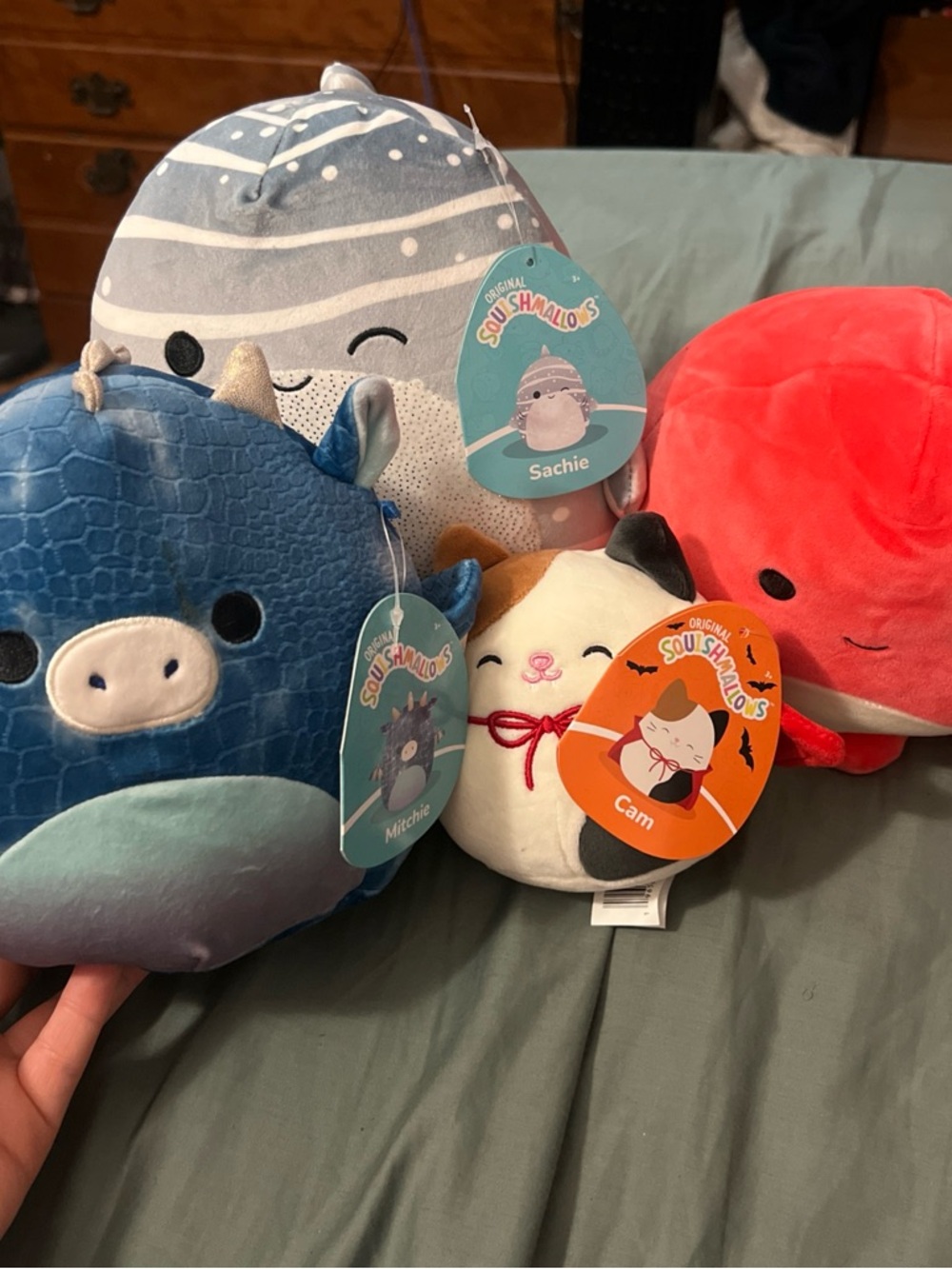 Squishmallows Plush Set – Blue Rhino, Light Gray Whale, White Cat, Red Octopus